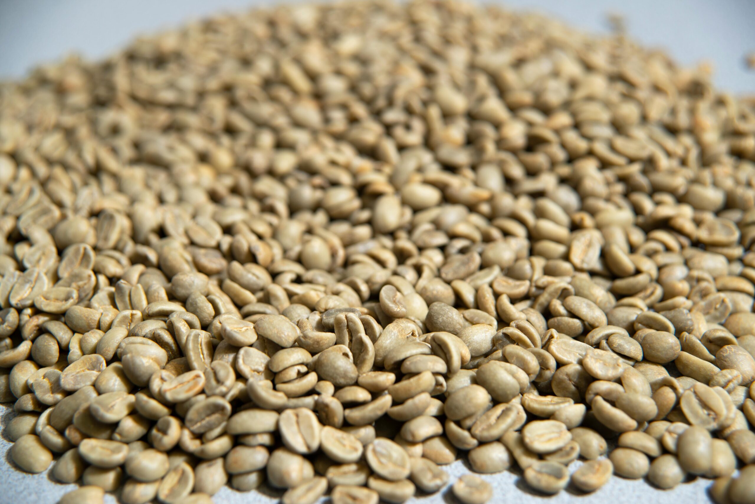 Close-up view of a large pile of raw, unroasted coffee beans showcasing texture.